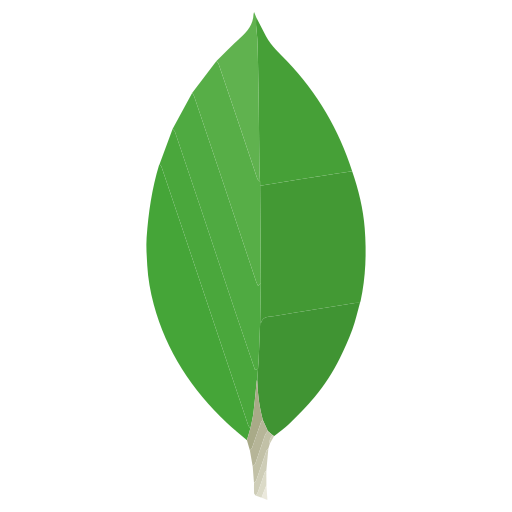 MongoDB logo MongoDB